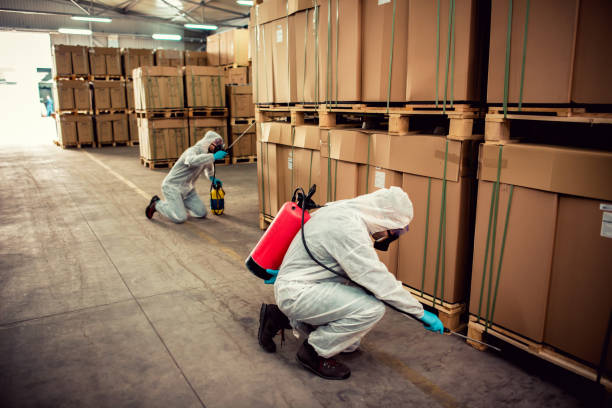 Best Mosquito Control Services  in Redding, CA