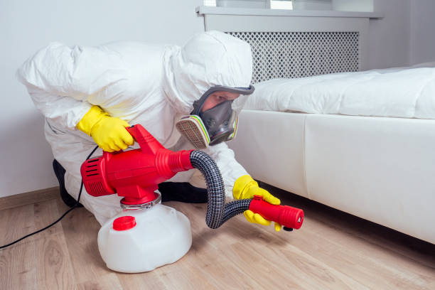 Best Insect Control  in Redding, CA