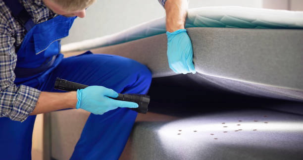 Best Rat Extermination Near Me  in Redding, CA